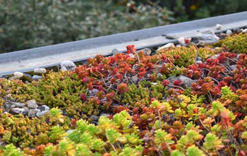 the cost of Elford green roof installation